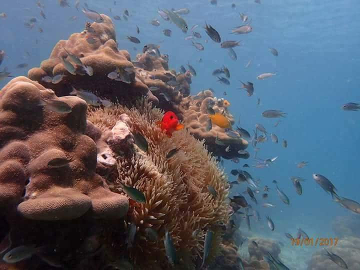 St. Luke Snorkeling Day Trip-丹老群岛必去景点