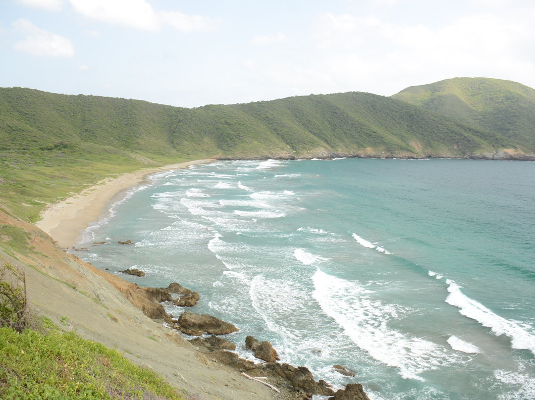 Playa de las 7 Olas景点图片