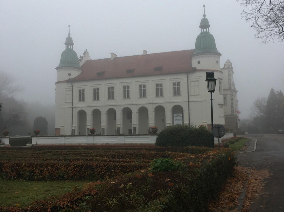 Hotel Zamkowa