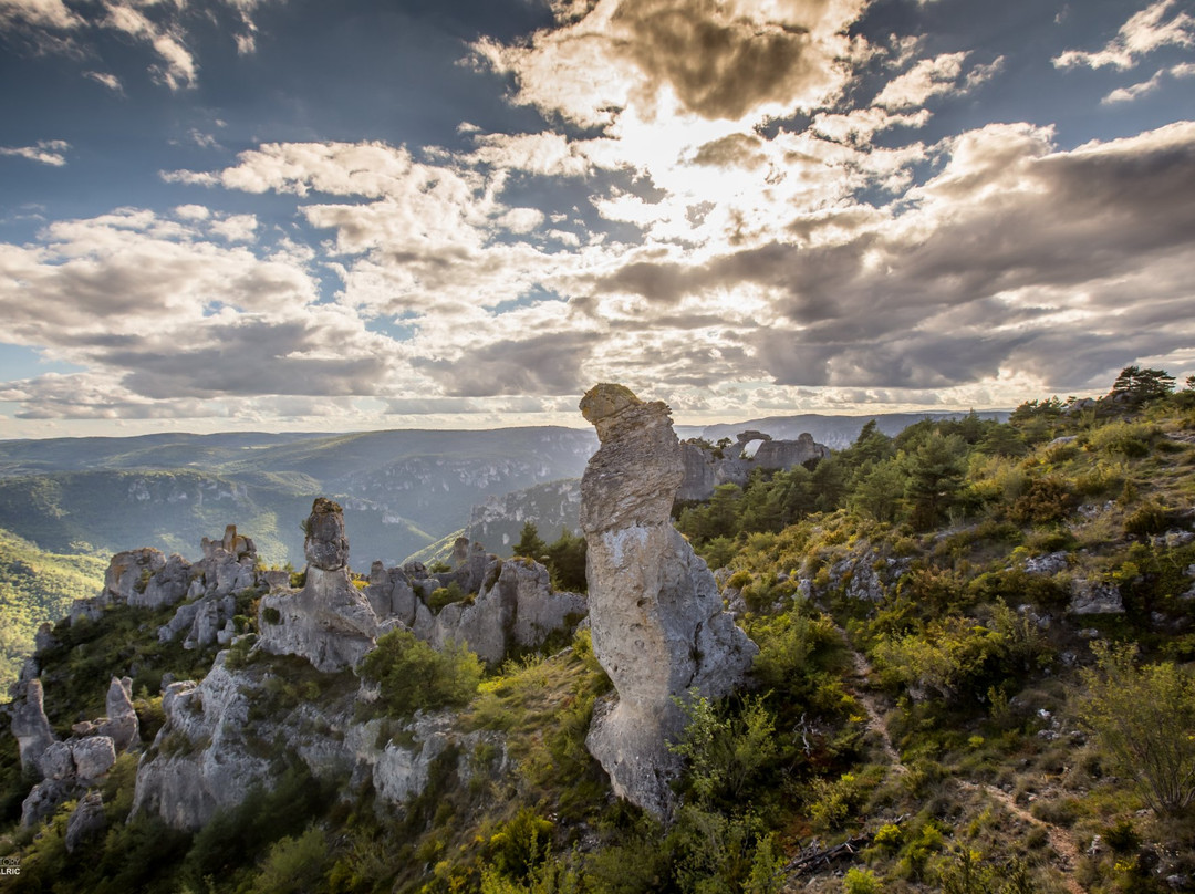 Office de Tourisme Larzac et Vallees景点图片