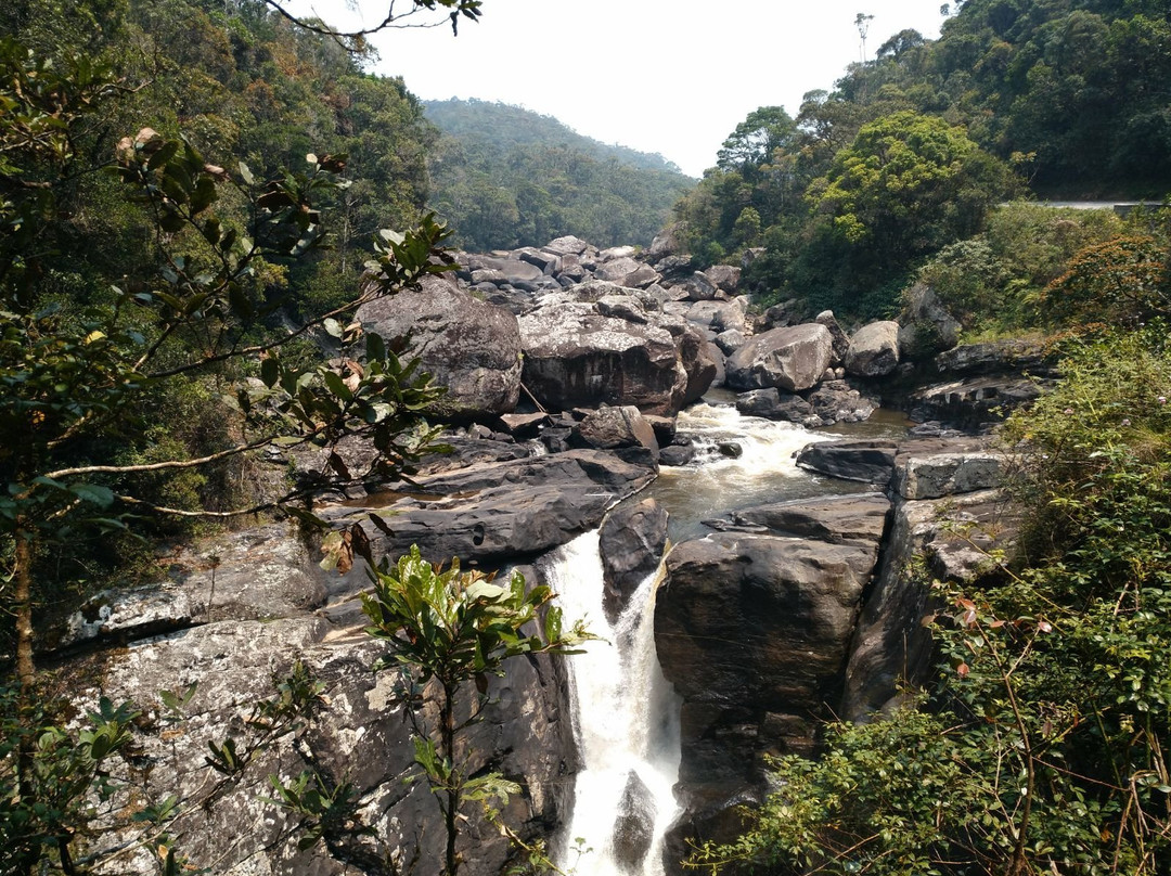Ranomafana National Park景点图片