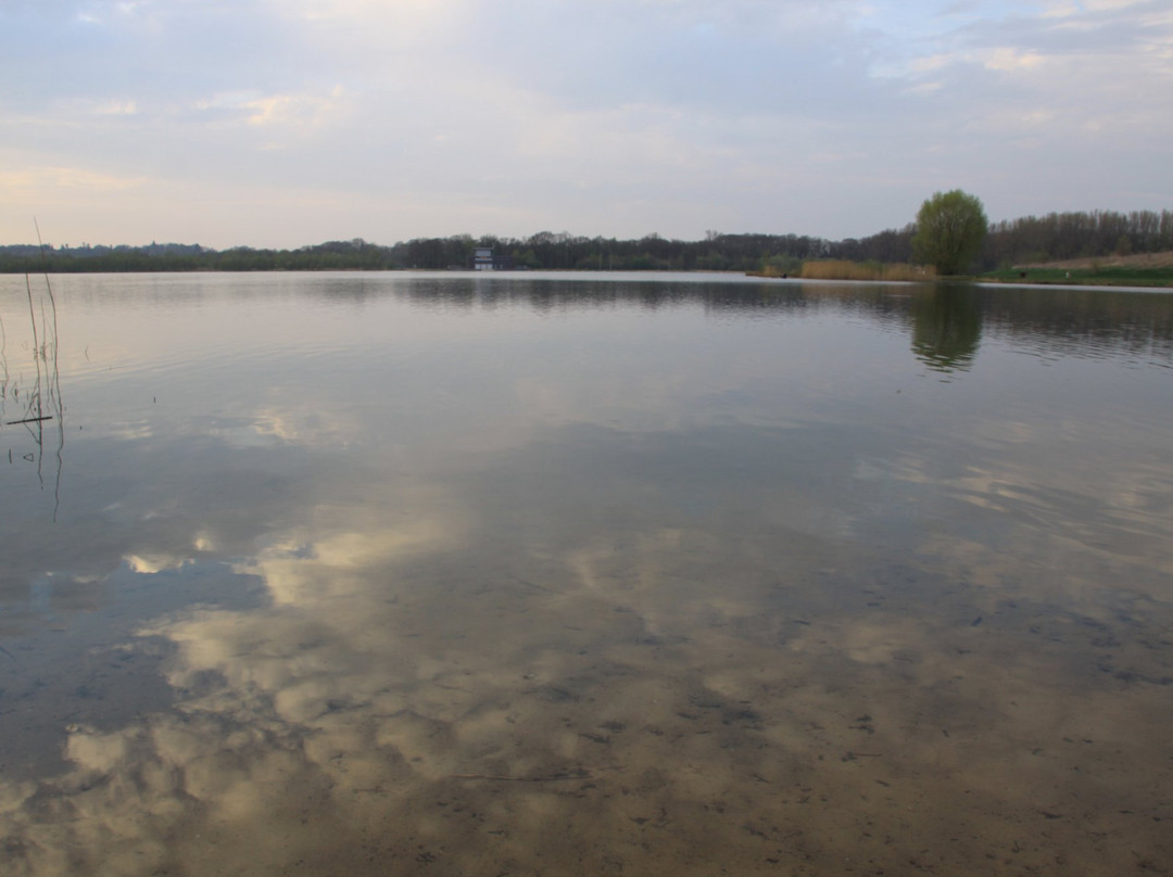 Lilienthal旅游景点-Stadtwaldsee