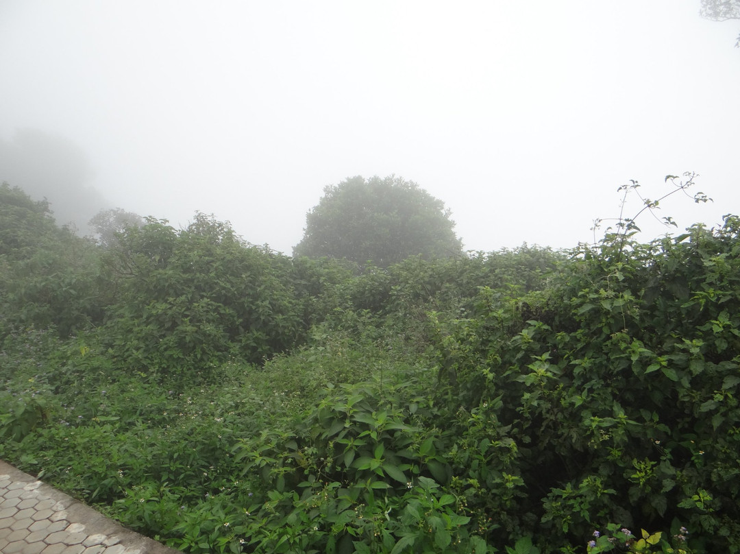 Shikharji景点图片