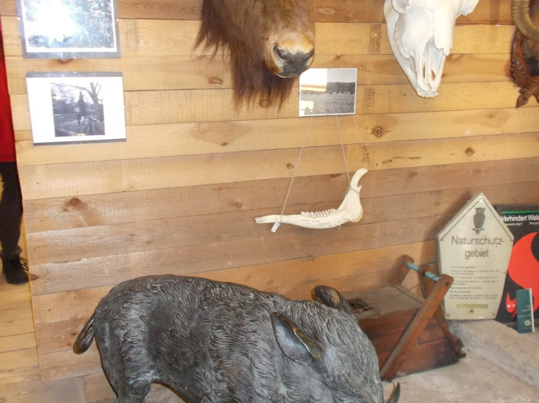 Forst- und Jagdmuseum Ferdinand von Raesfeld景点图片