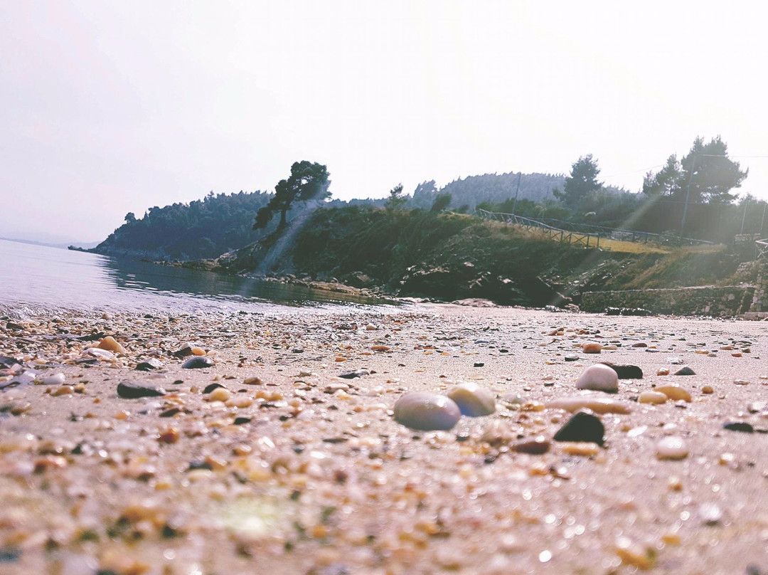 Dentro Beach Bar景点图片