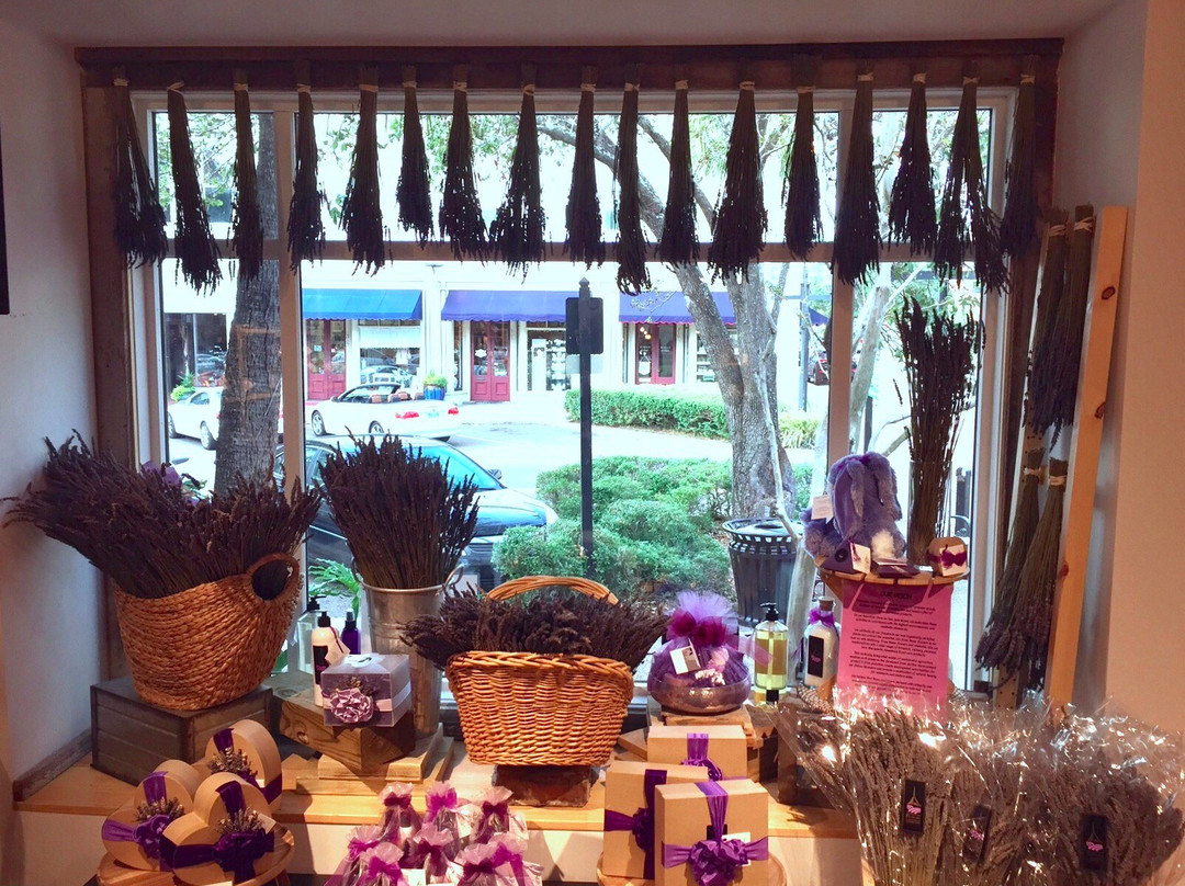 Pelindaba Lavender Amelia Island-阿米莉亚岛必去景点