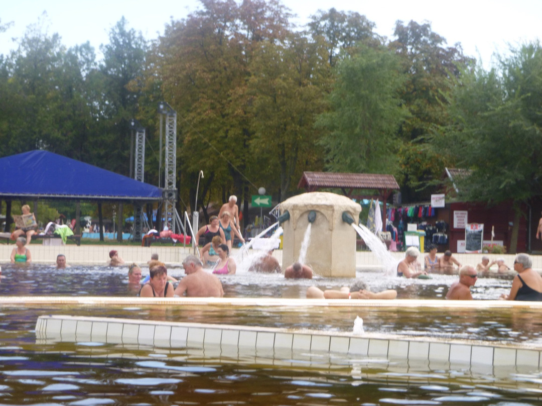 Berekfurdoi Medical Bath and Lido景点图片