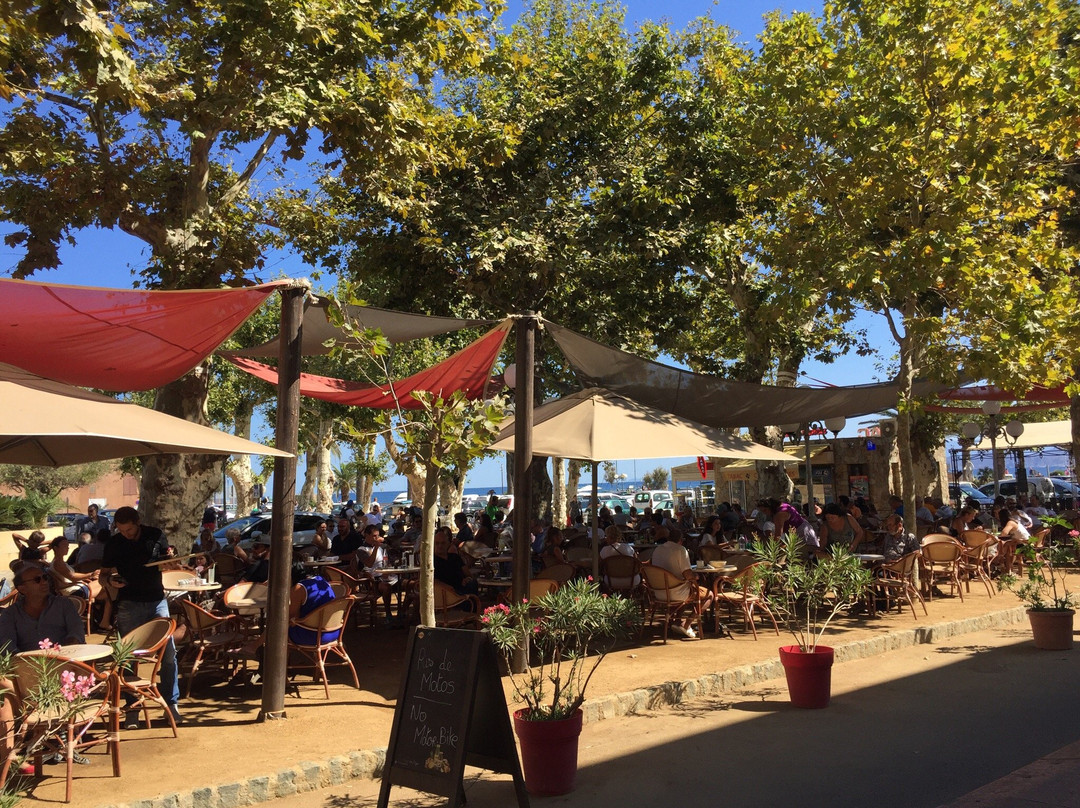 Monticello旅游景点-Café des Platanes