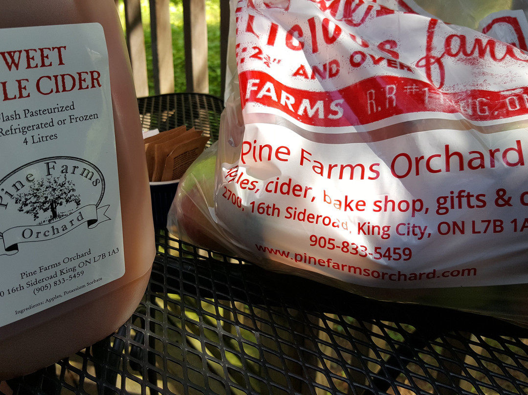 Pine Farms Orchard-King City必去景点