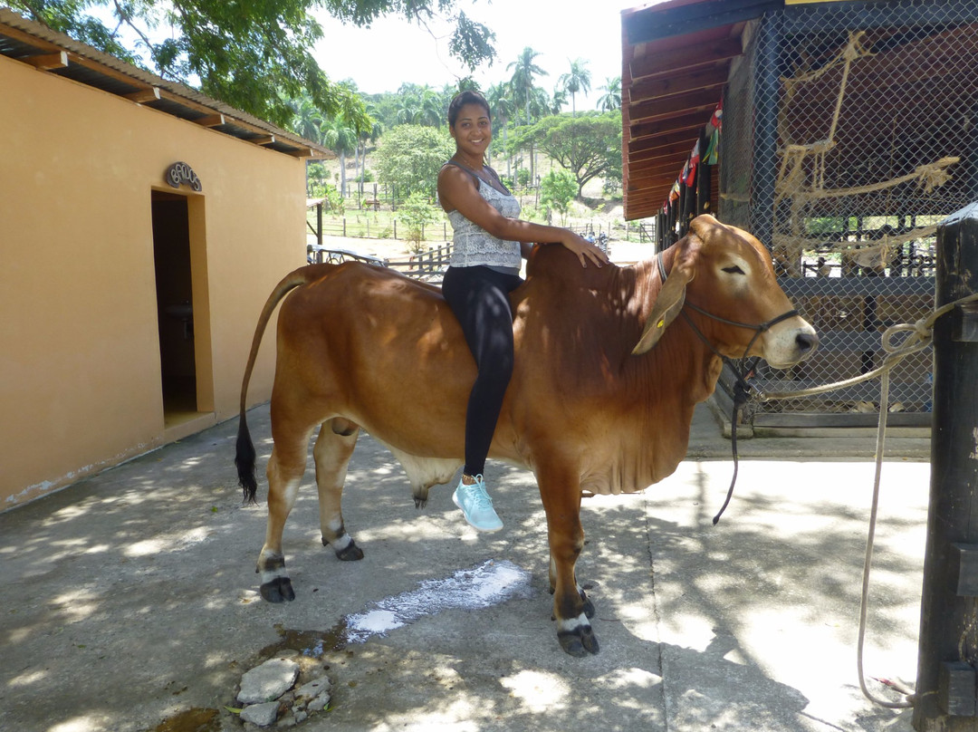 Rancho Los Cacaos-Maimon必去景点