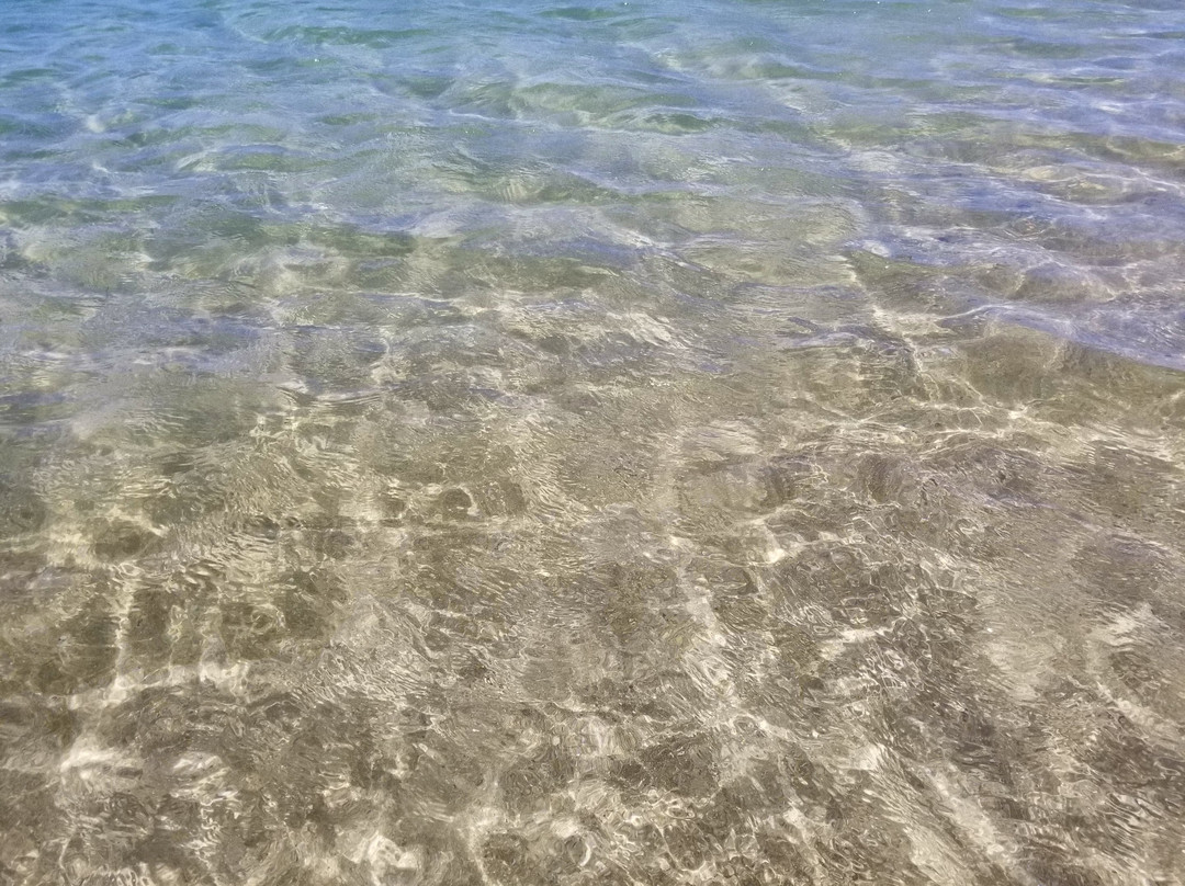 Terraplen La Posita de Piñones-卡罗来纳必去景点