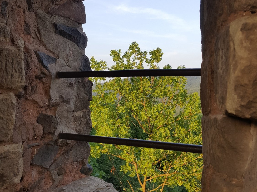 Michelsburg景点图片