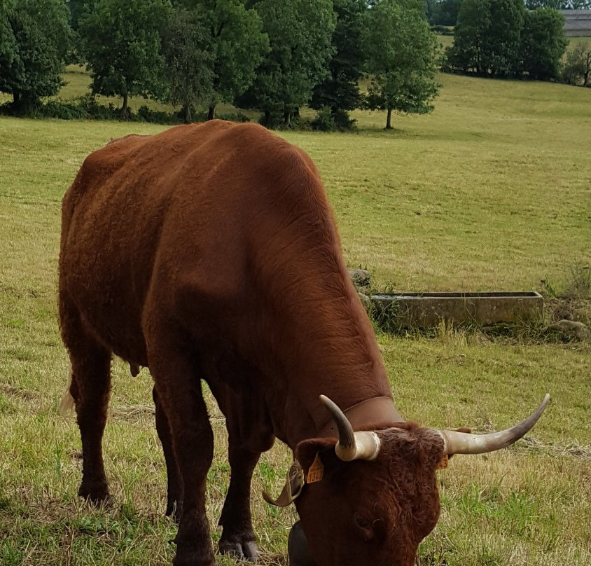 Maison de la Salers-Saint-Bonnet-de-Salers必去景点