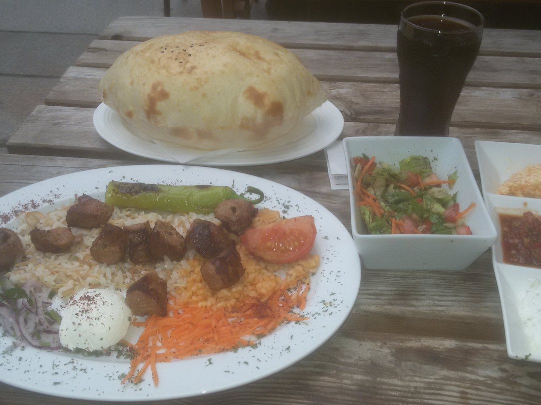 Aslan Kebab House Sarialtun