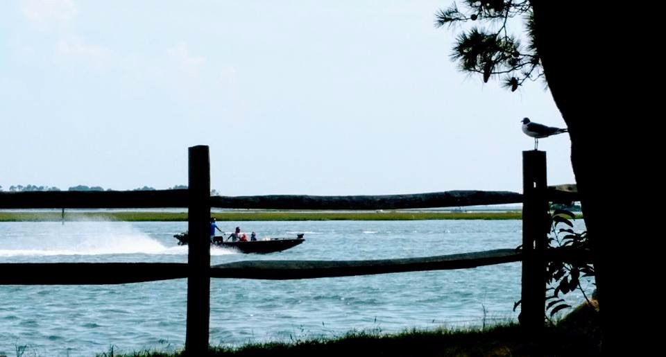 Chincoteague Veteran's Memorial Park景点图片