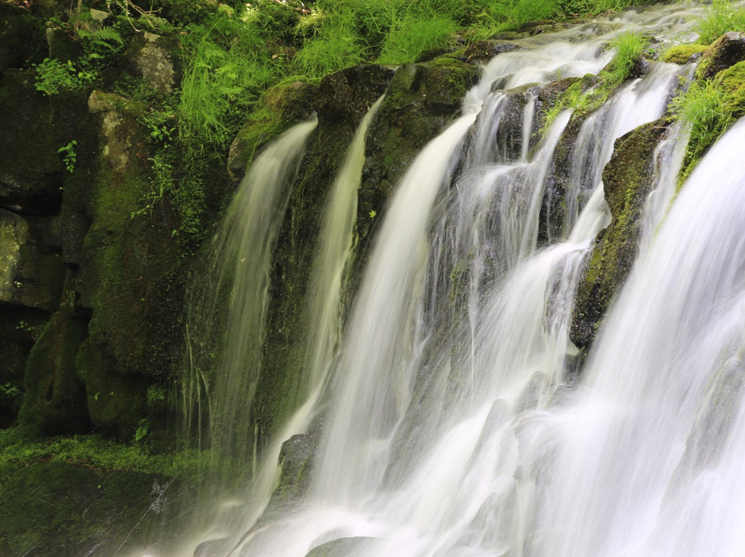 Tateshina Otaki Fall