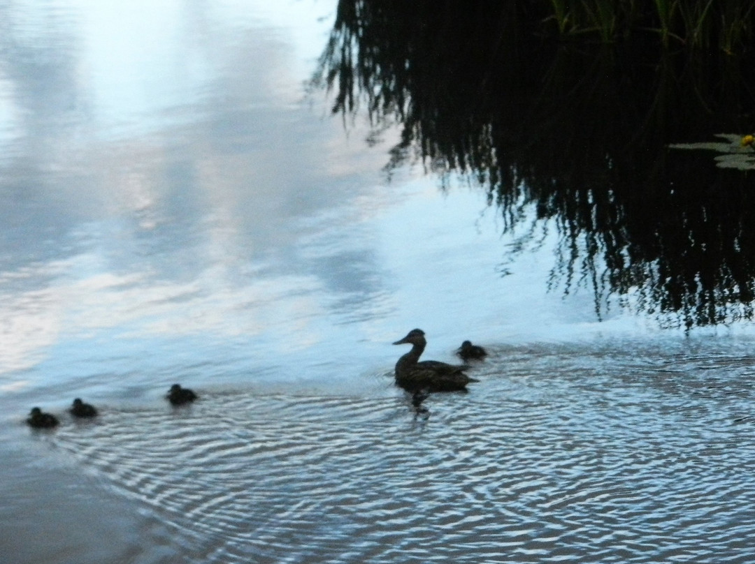Boutique Canard Du Lac Brome-Knowlton必去景点