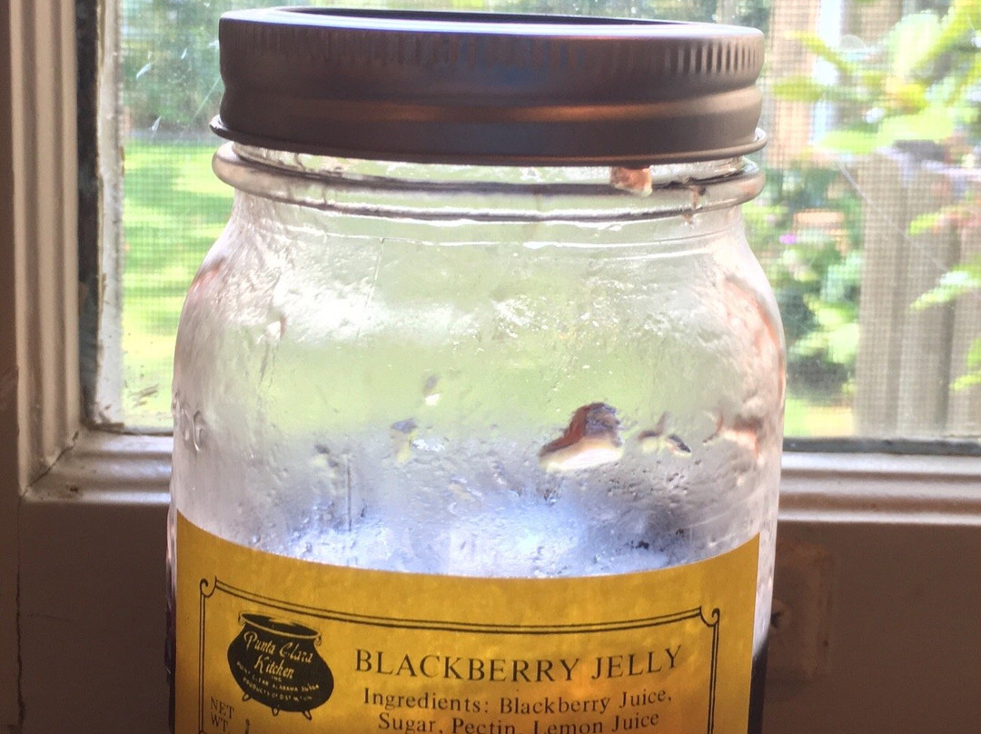 Punta Clara Kitchen-Point Clear必去景点