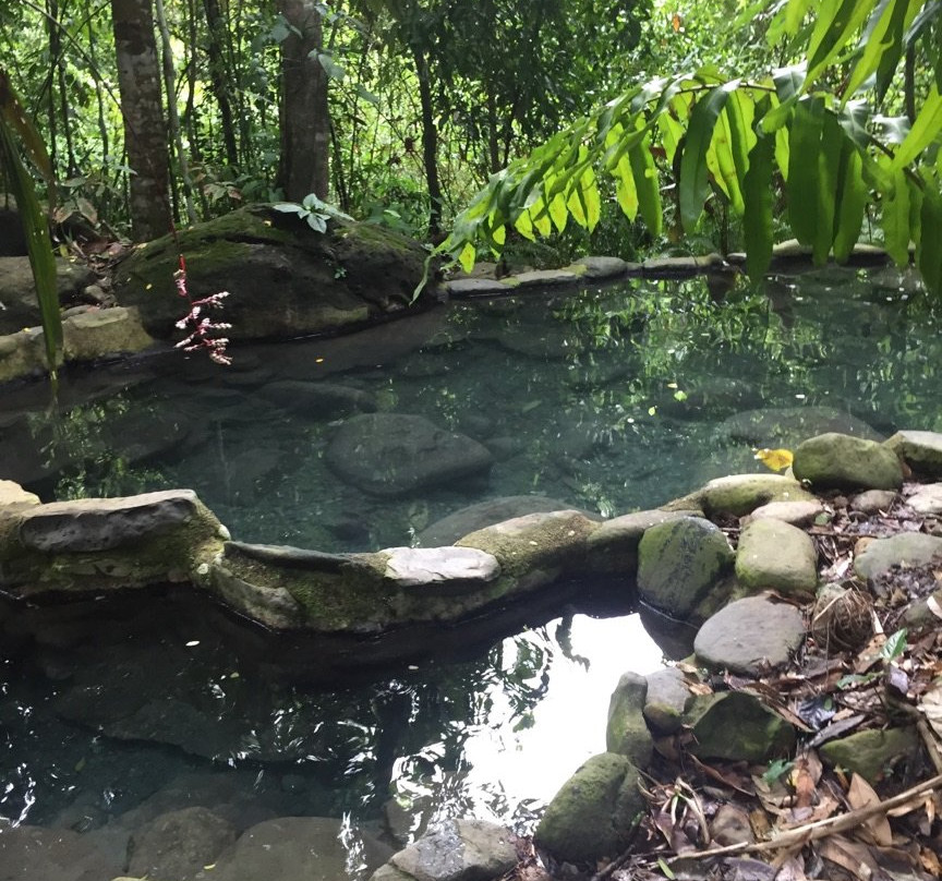 Manuel Antonio Hot Springs景点图片