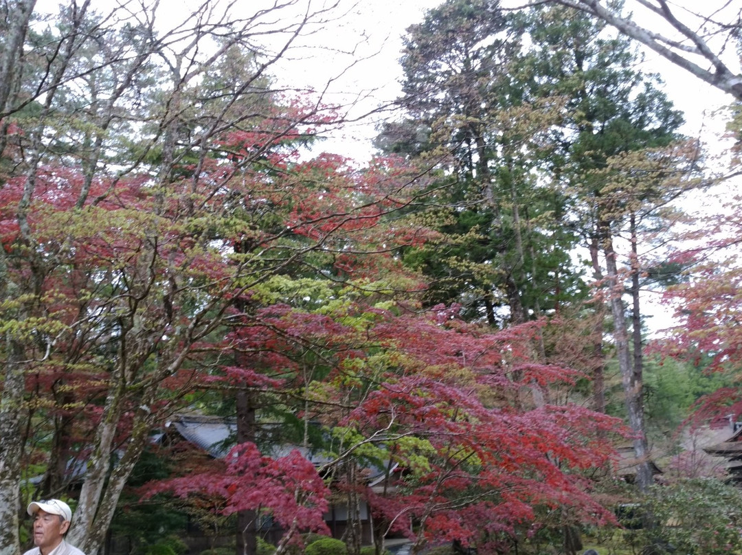 Koyasan Reihokan Museum-高野町必去景点
