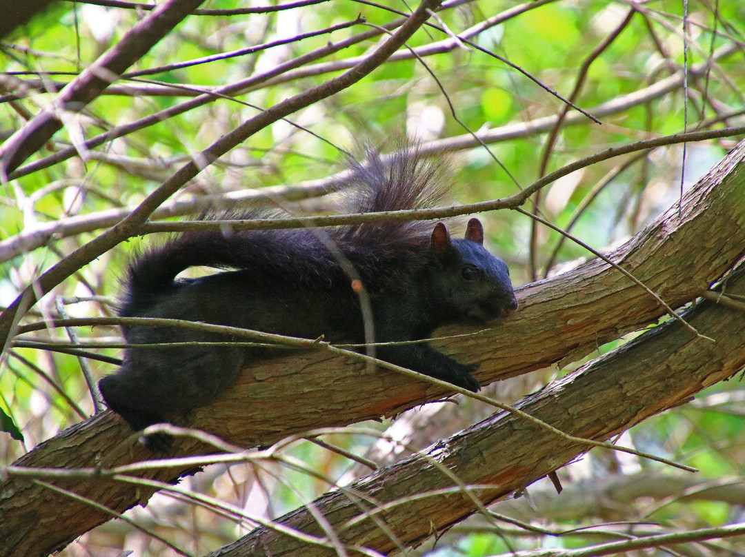 Mission Oaks Gardens-Zanesville必去景点