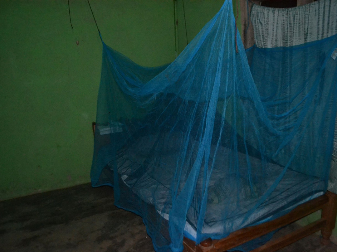 Savannah Lodge主图