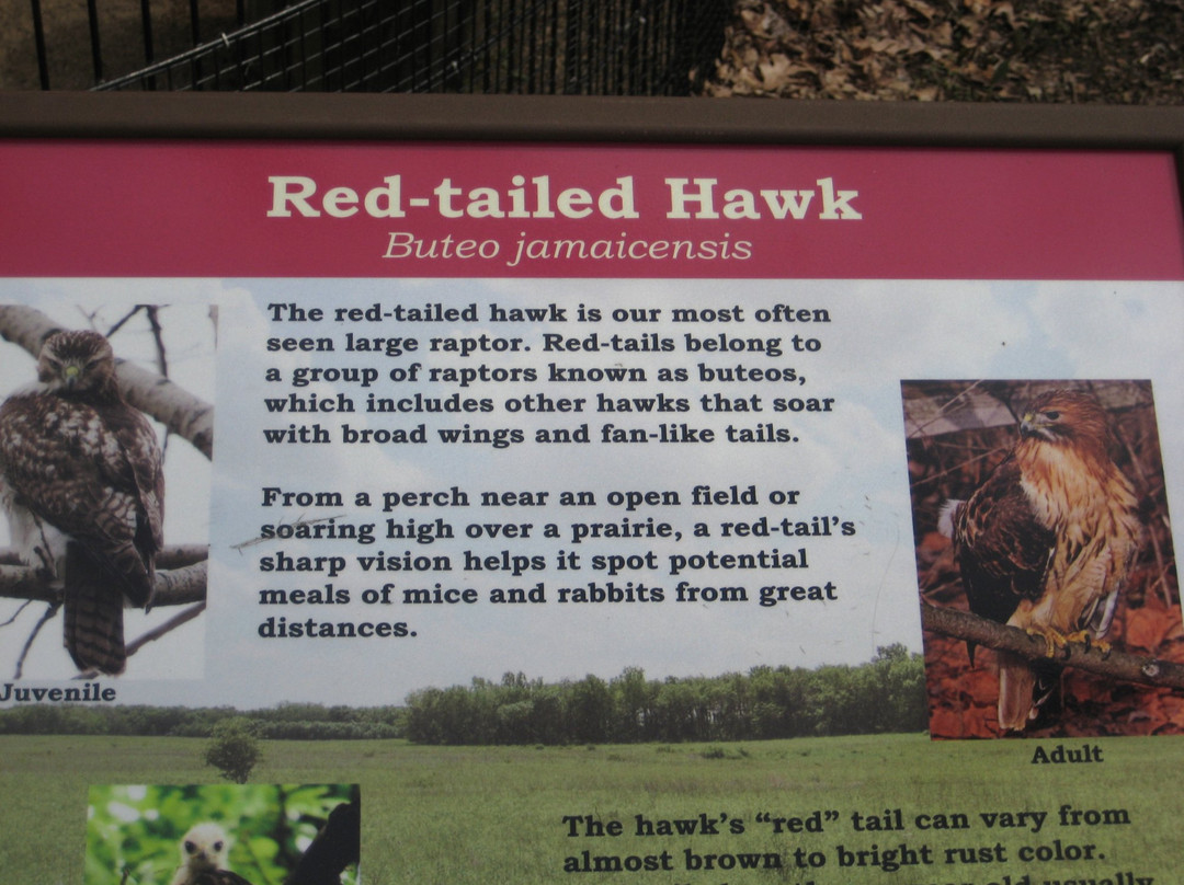 River Trail Nature Center-诺斯布鲁克必去景点