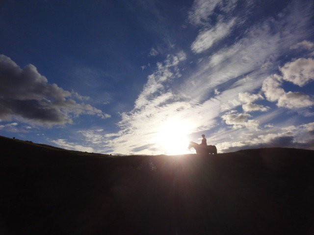 Horses @Pukatea Hill景点图片