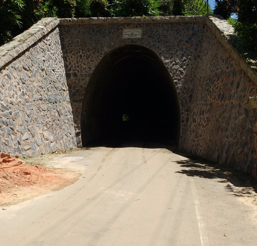 Knolley's Tunnel-Tabaquite必去景点