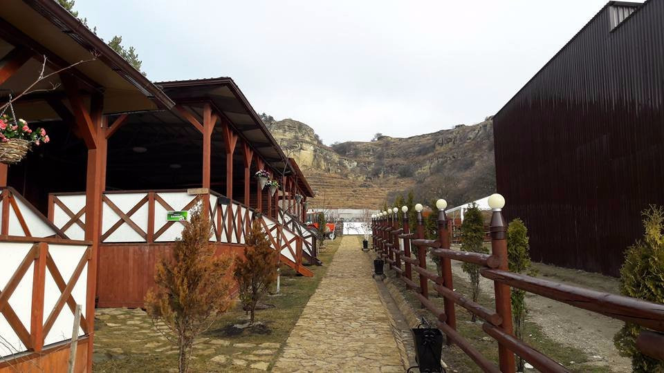 Canyon Equestrian Club景点图片
