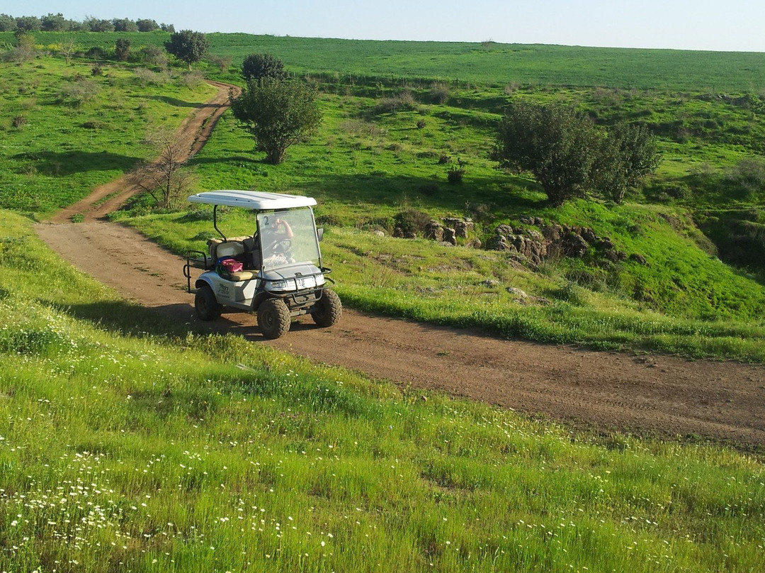 Yarok Bashvil-Shadmot Dvora必去景点
