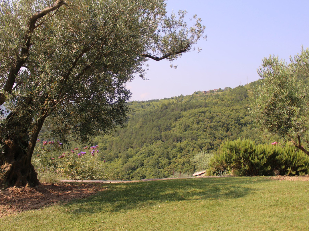 Oprtalj旅游景点-Ipša