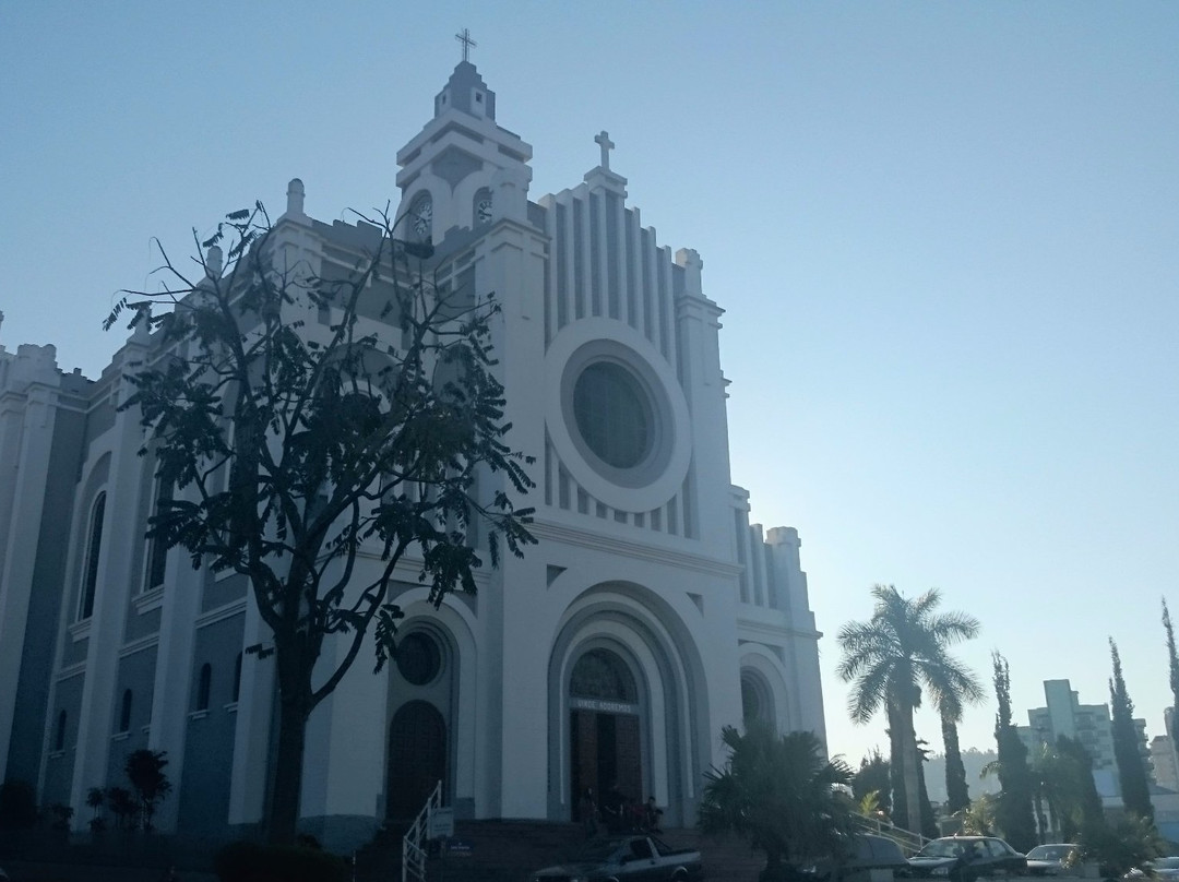 Catedral Santa Teresinha do Menino Jesus景点图片