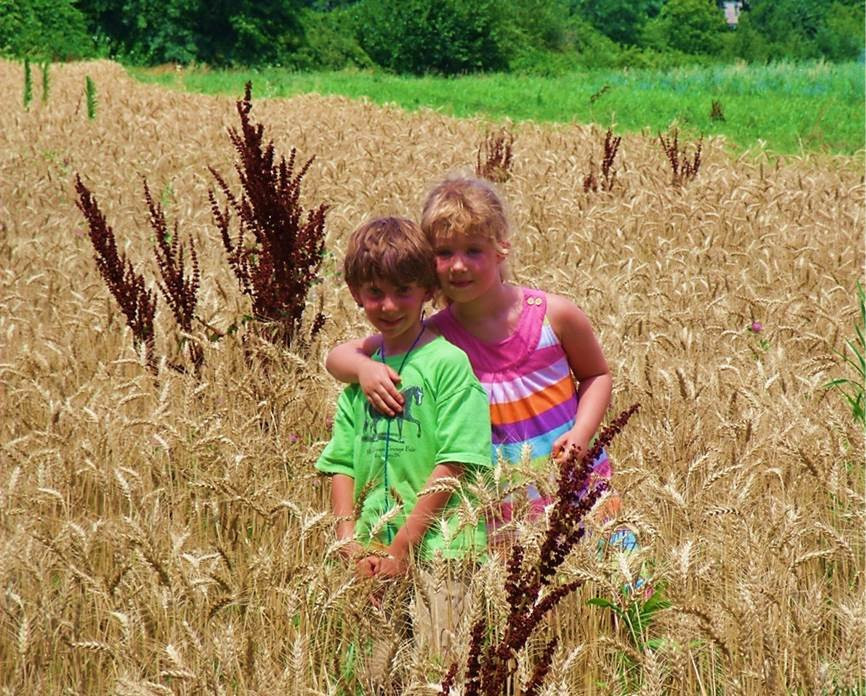 Snipes Farm & Education Center-Morrisville必去景点