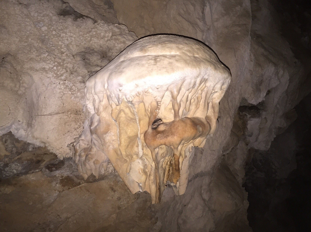 Grutas de la Catedral y del Ángel景点图片