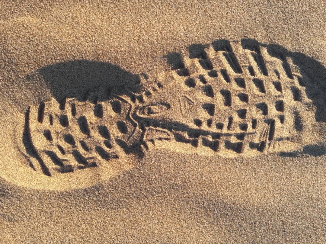 Todratours - Day Tours-马拉喀什必去景点