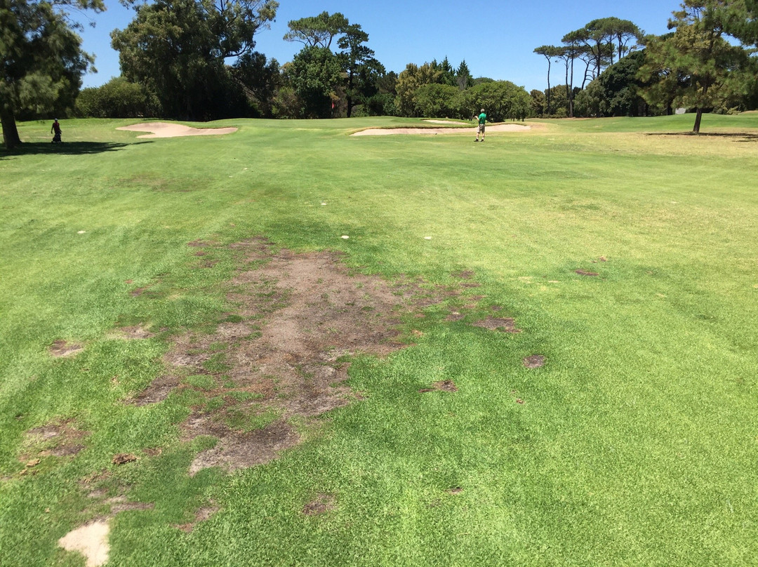 Royal Cape Golf Club-Wynberg必去景点