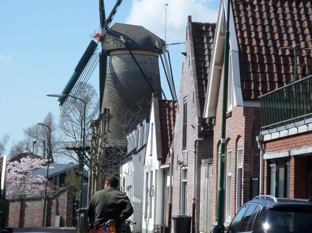 Korenmolen De Windotter-IJsselstein必去景点