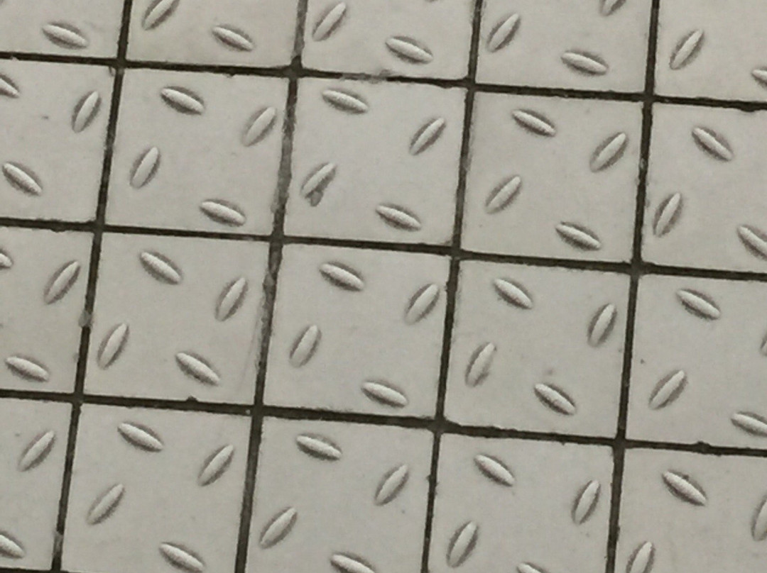 Wyndley Leisure Centre-萨顿科尔菲尔德必去景点
