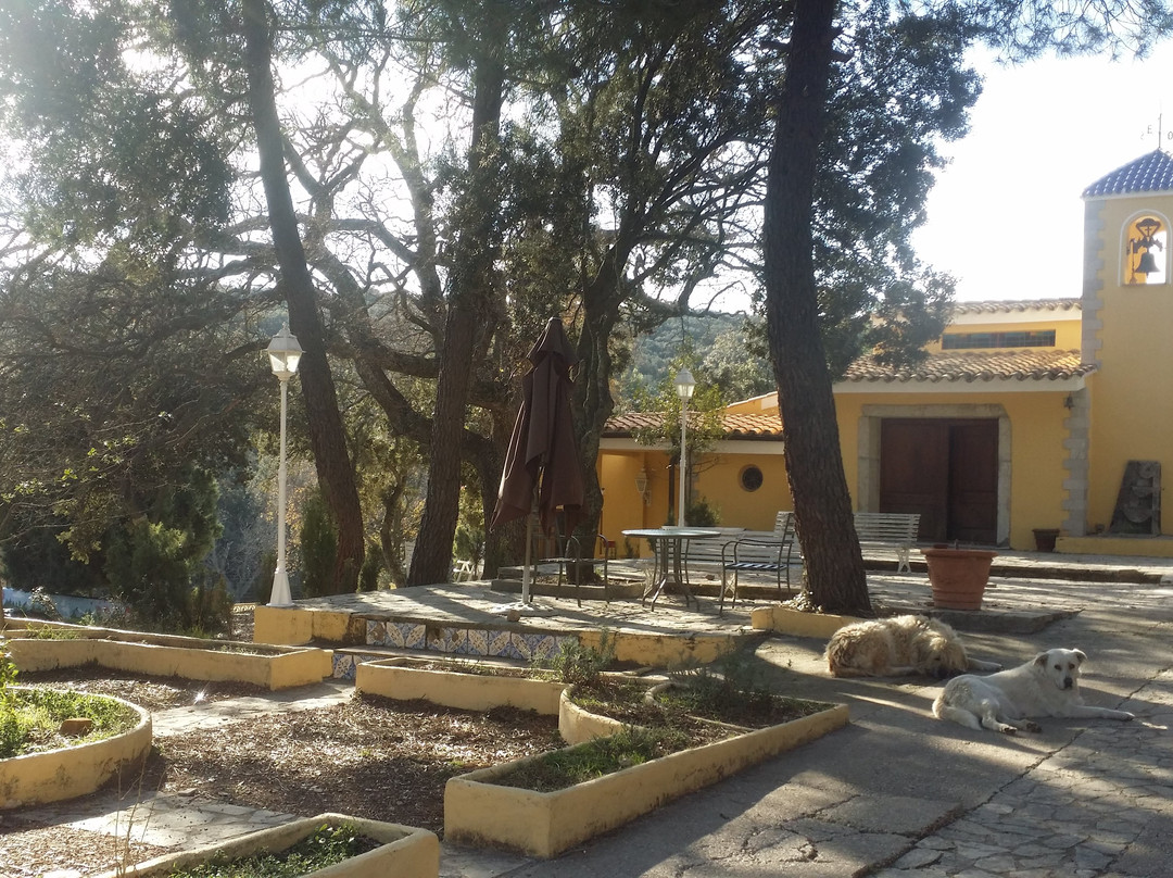 Mas De Madalena