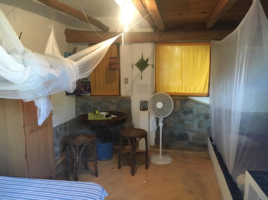 Posada Castillo Oasis主图