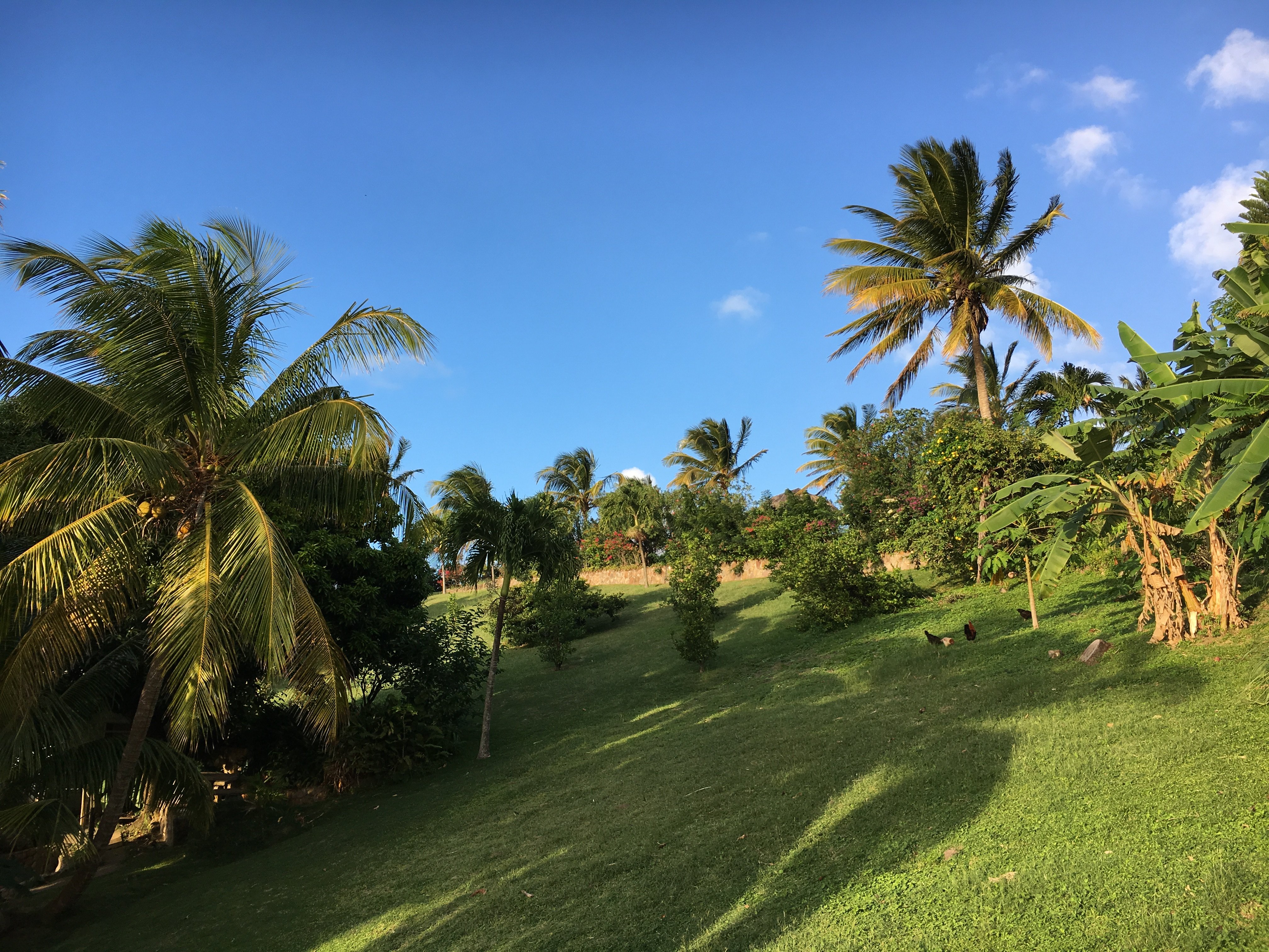 Gingerbread Hill-浴室