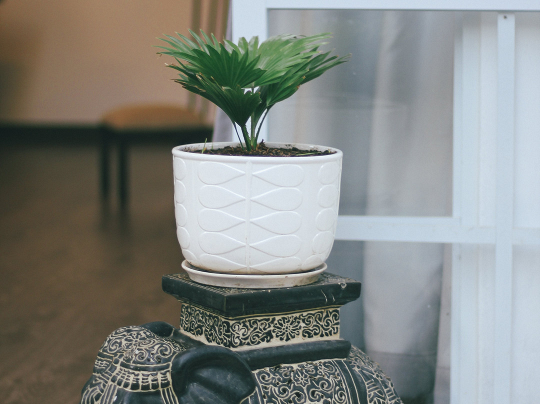 Chivada-岘港必去景点