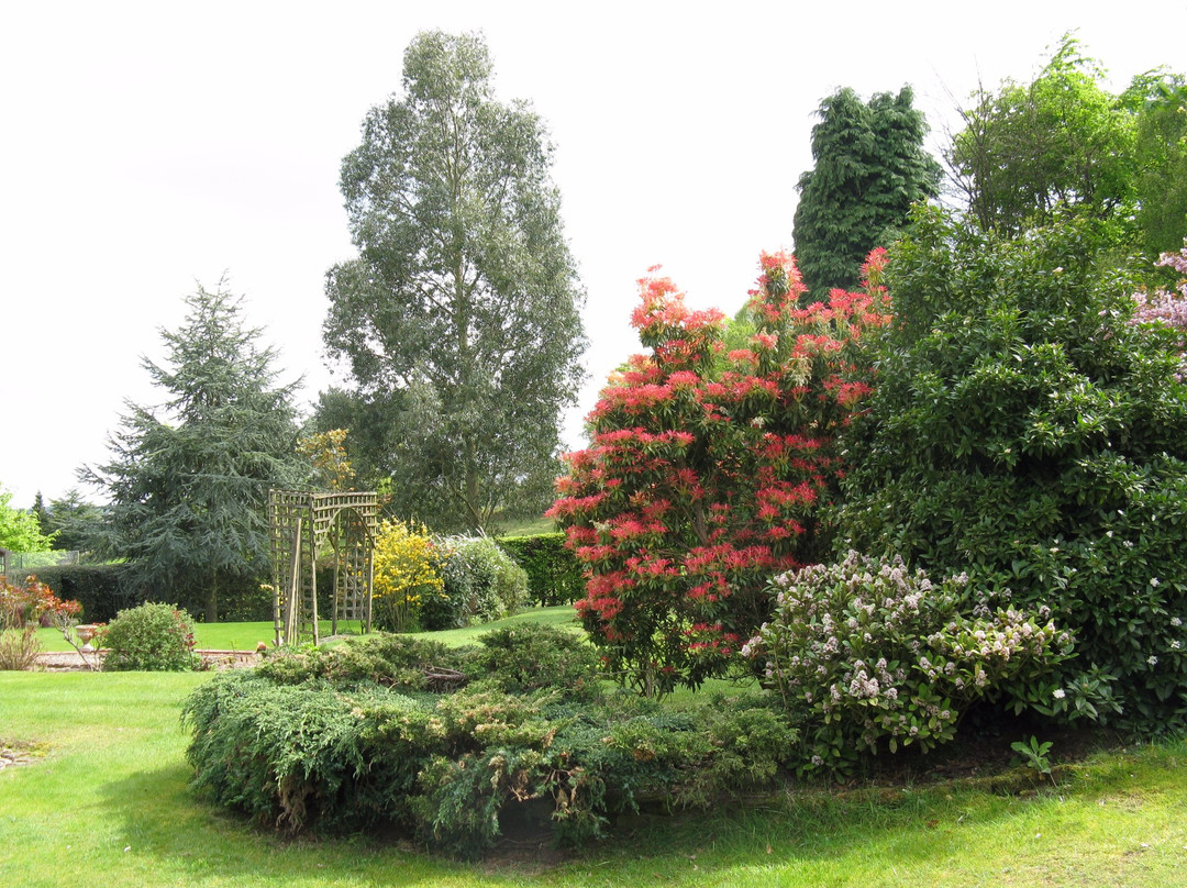 Holly Lodge Country Guest House主图