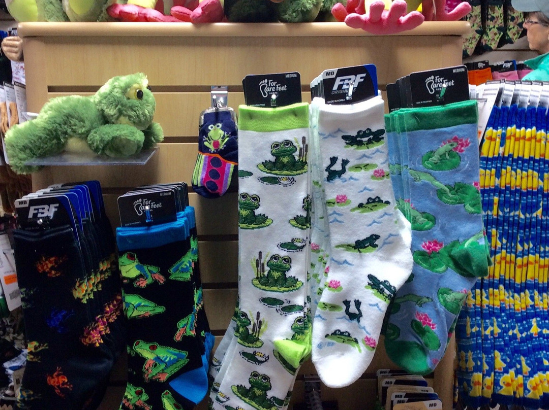 For Bare Feet-埃斯蒂斯公园必去景点