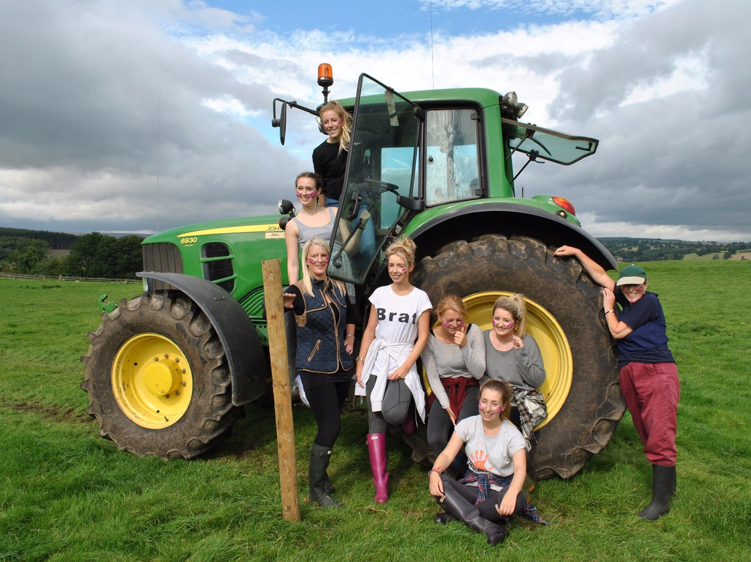 Farm Adventure Yorkshire景点图片