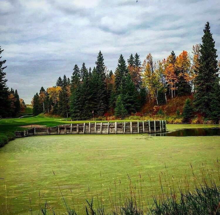 Wolf Creek Golf Course-Ponoka必去景点