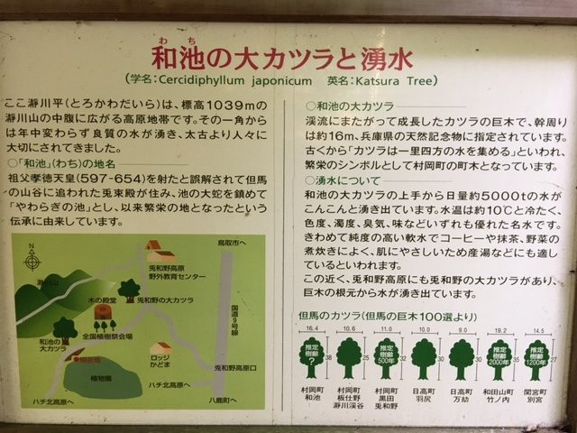 Tajima Kogen Botanical Garden-香美町必去景点