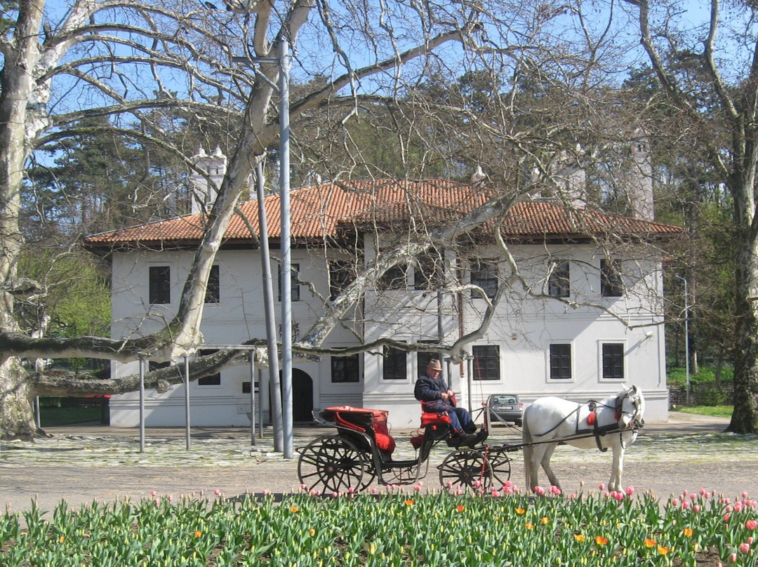 Rakovica旅游景点-Residence of Prince Milos