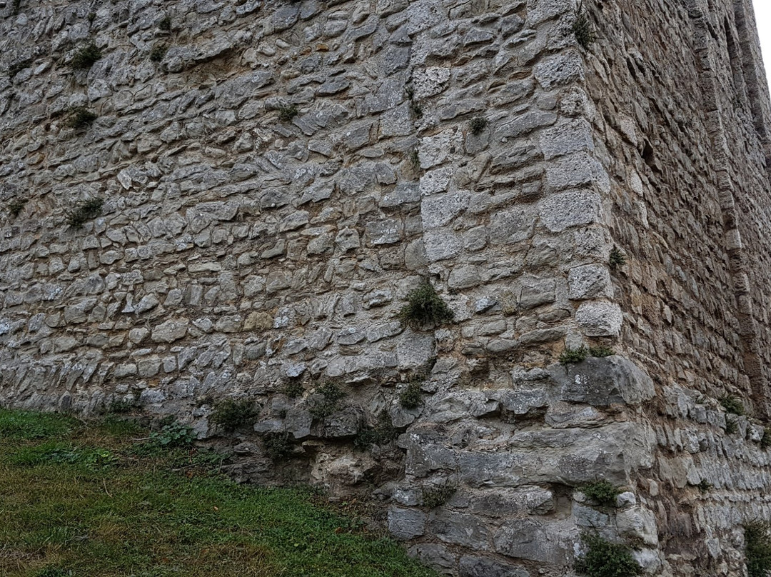 St. Leonard's Tower景点图片